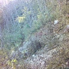 151025-02_p12.jpg