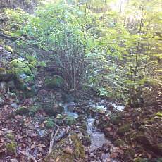 151103_p19.jpg