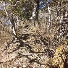 160109_p20.jpg