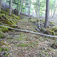 170617_p03.jpg