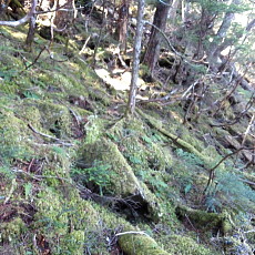 180428_p02.jpg