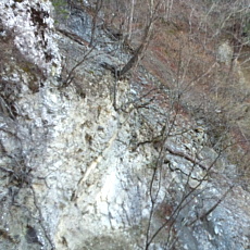 190505_p07.jpg