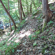 200605_p20.jpg