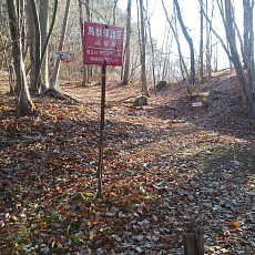 201206_p17.jpg