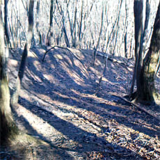210223_p04.jpg