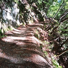 220528_p02.jpg