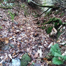 241022_p14.jpg