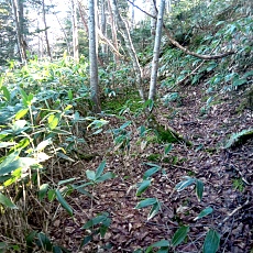 241112_p17.jpg