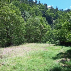 250629_p09.jpg