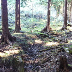211020_p16.jpg
