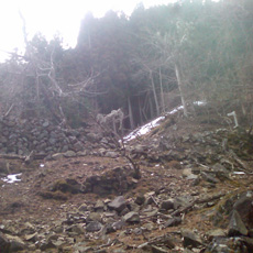130303_p08.jpg