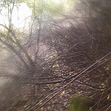 131006_p04.jpg