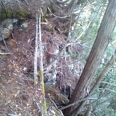 140504_p24.jpg