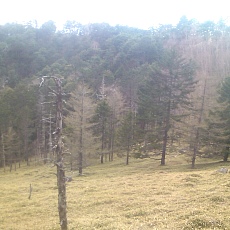 140517_p27.jpg