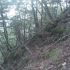 140913_p16.jpg