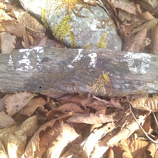 150330_p33.jpg