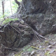 150523_p29.jpg