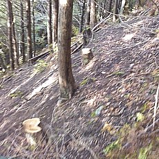150920-01_p04.jpg
