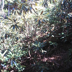 180428_p15.jpg