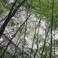 181006_p26.jpg