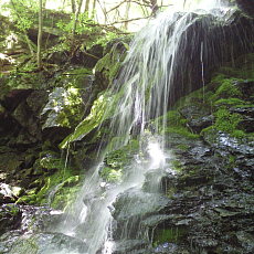 200605_p24.jpg