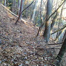 201117_p01.jpg