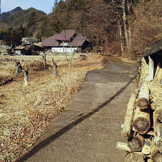 201206_p66.jpg