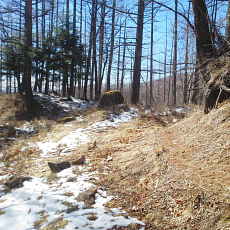210315_p29.jpg