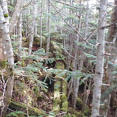 210930_p11.jpg