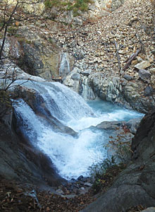 kawamura02-2.jpg