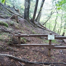220515_p23.jpg