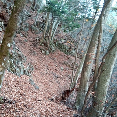231123_p15.jpg
