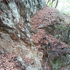 230502_p16.jpg