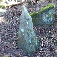 211020_p20.jpg