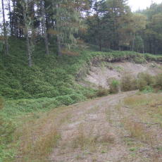 090926_n07.jpg