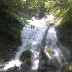 110703_p12.jpg