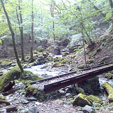 121007_p06.jpg