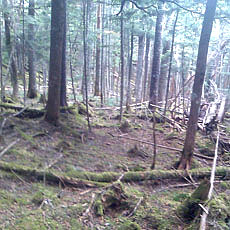 130706_p28.jpg