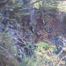 131006_p26.jpg