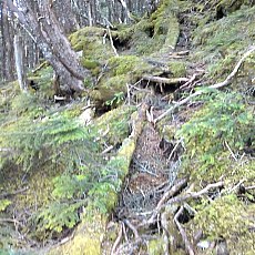 150522_p24.jpg