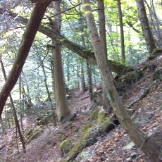 150523_p32.jpg