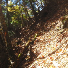 161029_p07.jpg