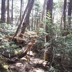 170604_p21.jpg