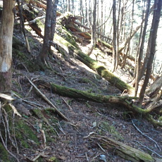 180428_p04.jpg