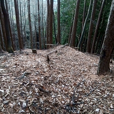 221127_p20.jpg