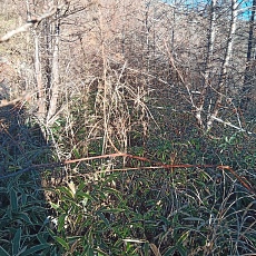 221127_p15.jpg