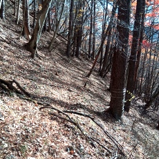 231123_p06.jpg