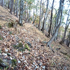 231030_p03.jpg