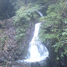 110703_p08.jpg