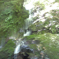 120716_p04.jpg